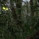 photo du film Predator