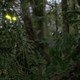 photo du film Predator