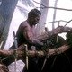 photo du film Predator
