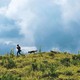 photo du film Le renard et l'enfant