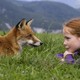photo du film Le renard et l'enfant