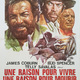 photo du film Une Raison pour vivre, une raison pour mourir