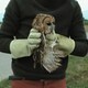 photo du film L'Île aux oiseaux