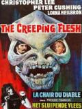 voir la fiche complète du film : La Chair du diable