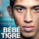 photo du film Bébé Tigre