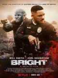 voir la fiche complète du film : Bright