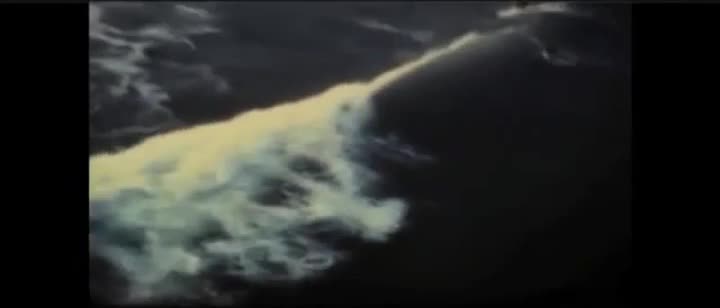 Extrait vidéo du film  Lifeguard