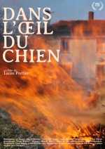 voir la fiche complète du film : Dans l œil du chien