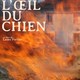 photo du film Dans l'œil du chien