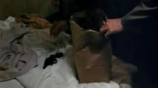 Un extrait du film  Les copains d Eddie Coyle