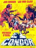 voir la fiche complète du film : El Condor