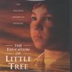 photo du film L'Education de Little Tree