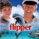 photo du film Flipper
