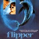 photo du film Flipper