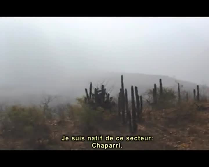 Extrait vidéo du film  Chaparri, les sept ours de la montagne sacrée