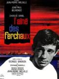 voir la fiche complète du film : L Aîné des Ferchaux