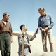 photo du film Le Vol du Phénix