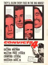 voir la fiche complète du film : Convicts 4