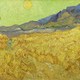 photo du film Vincent, la vie et la mort de Vincent Van Gogh