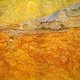 photo du film Vincent, la vie et la mort de Vincent Van Gogh