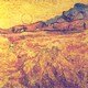 photo du film Vincent, la vie et la mort de Vincent Van Gogh