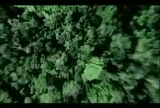 Extrait vidéo du film  Brocéliande