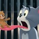 photo du film Tom & Jerry