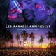 photo du film Les paradis artificiels