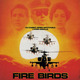 photo du film Fire Birds