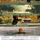 photo du film Printemps, été, automne, hiver… et printemps