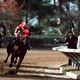 photo du film Pur Sang, la légende de Seabiscuit