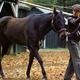 photo du film Pur Sang, la légende de Seabiscuit