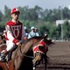 photo du film Pur Sang, la légende de Seabiscuit