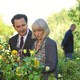 photo du film Une famille à louer