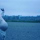 photo du film Vortex