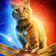 photo du film Captain Marvel