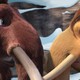 photo du film L'âge de glace 4 : la dérive des continents
