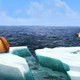 photo du film L'âge de glace 4 : la dérive des continents
