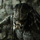 photo du film The Predator