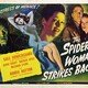 photo du film The Spider Woman Strikes Back
