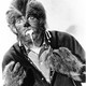 photo du film I was a teenage werewolf