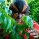 photo du film I was a teenage werewolf