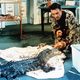 photo du film An Alligator Named Daisy