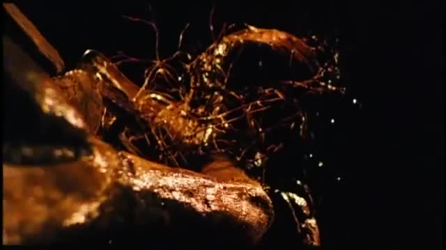 Extrait vidéo du film  Les Rivières pourpres 2 : Les Anges de l apocalypse