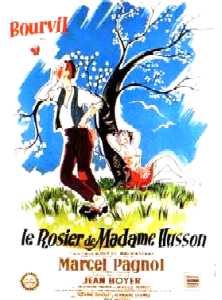 Le Rosier de Madame Husson