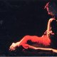 photo du film Marie et le loup