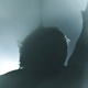 photo du film Vanishing Waves