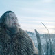 photo du film The Revenant