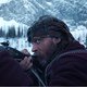 photo du film The Revenant