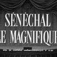 photo du film Sénéchal le Magnifique